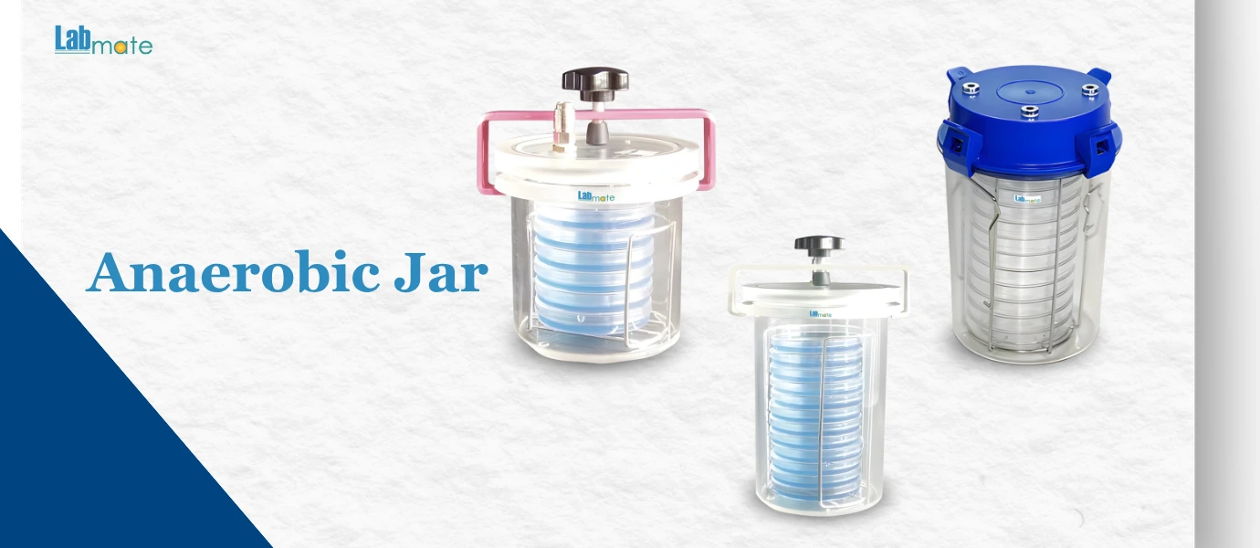 Anaerobic Jars In Microbiology - A Practical Guide To Cultivating Oxygen-Sensitive Organisms