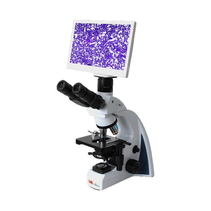 Microscope : Digital Microscope