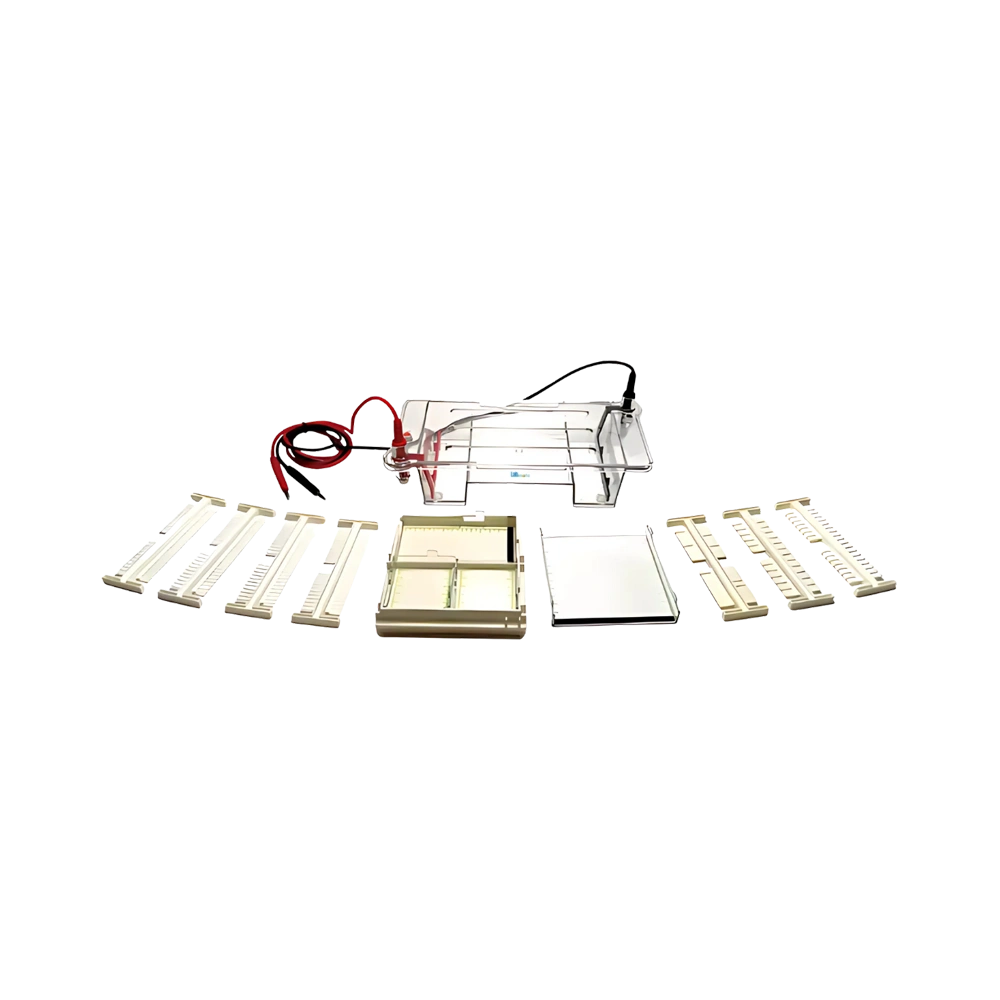 Horizontal Electrophoresis System Catalogs