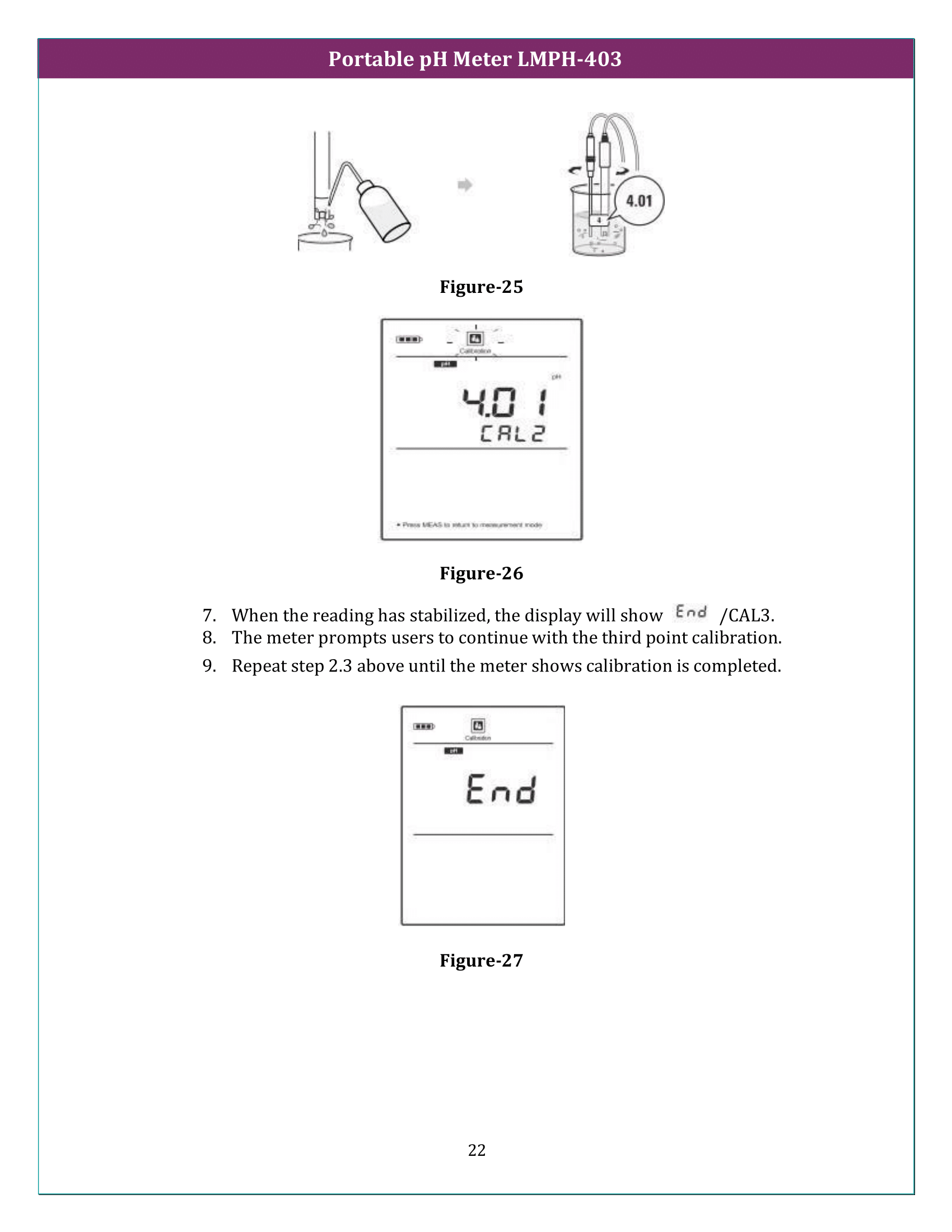 Portable pH Meter LMPH-403 Manual