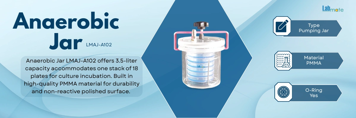 Anaerobic Jar with non-reactive polished surface and locking lid