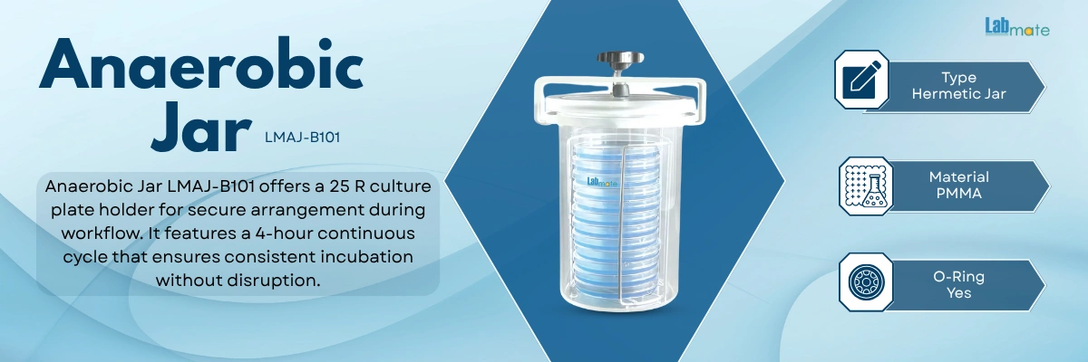 Anaerobic Jar with 25 R culture plate holder and transparent chamber