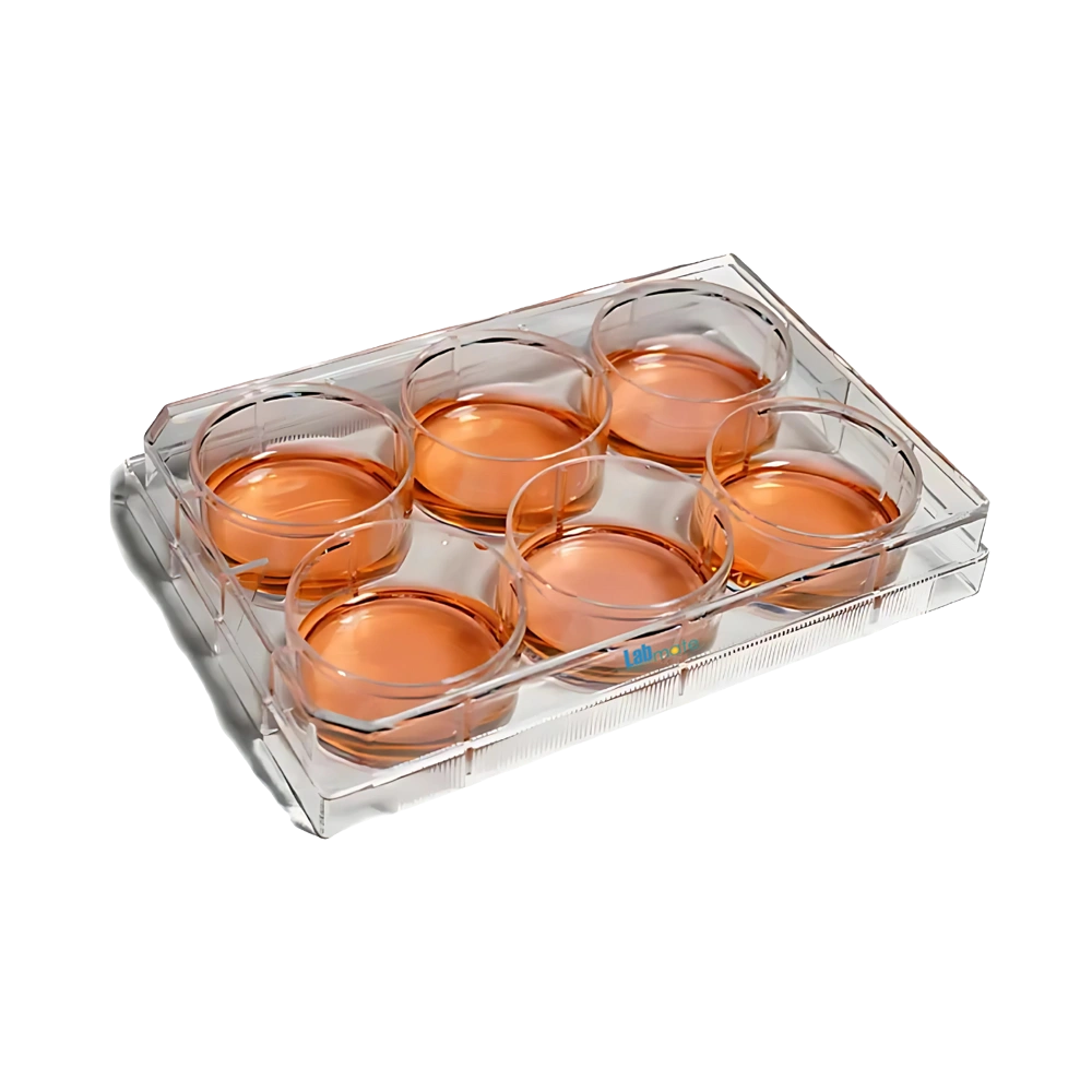 Suspension Cell Culture Plate with flat bottom and raised rims for contamination control