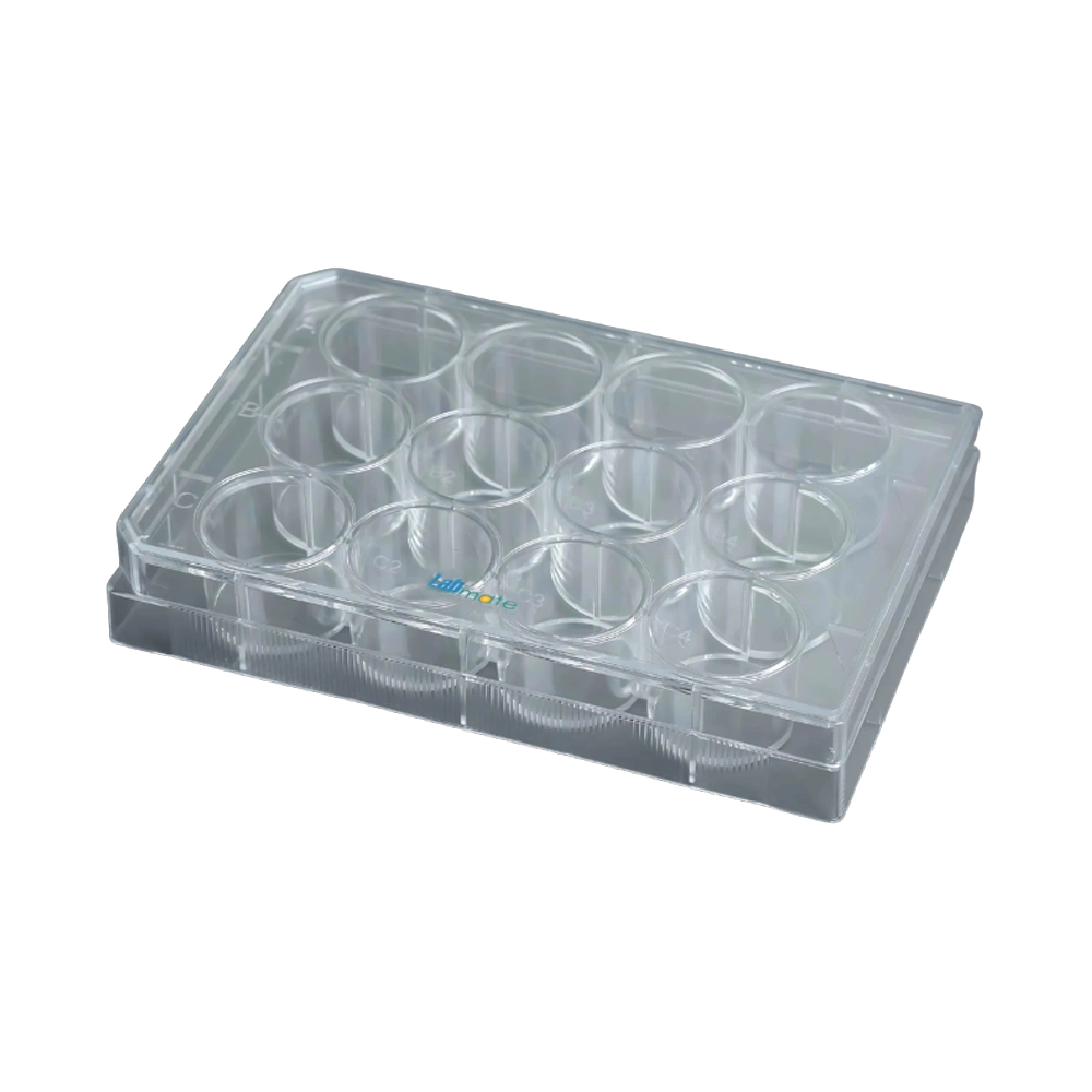 Suspension Cell Culture Plate with smooth surface, coded wells, DNase and RNase free