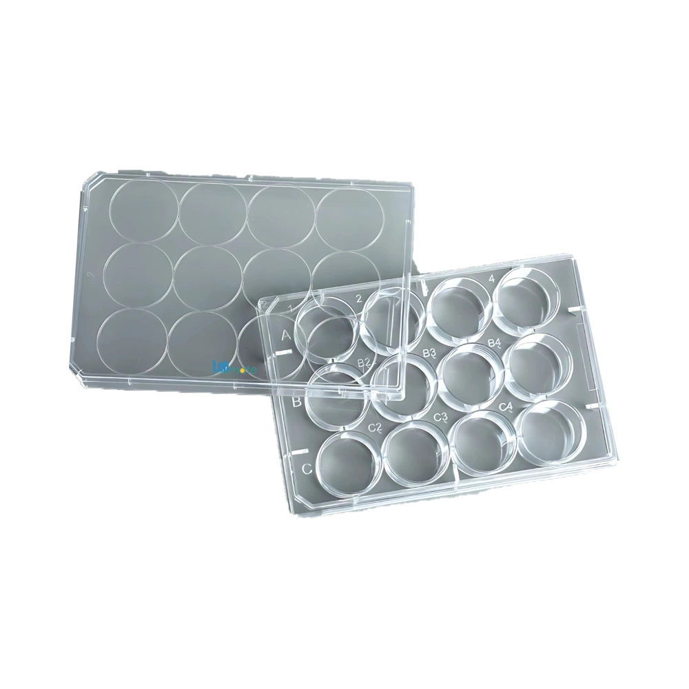 Suspension Cell Culture Plate with flat bottom, sterile surface and raised anti-mix rims