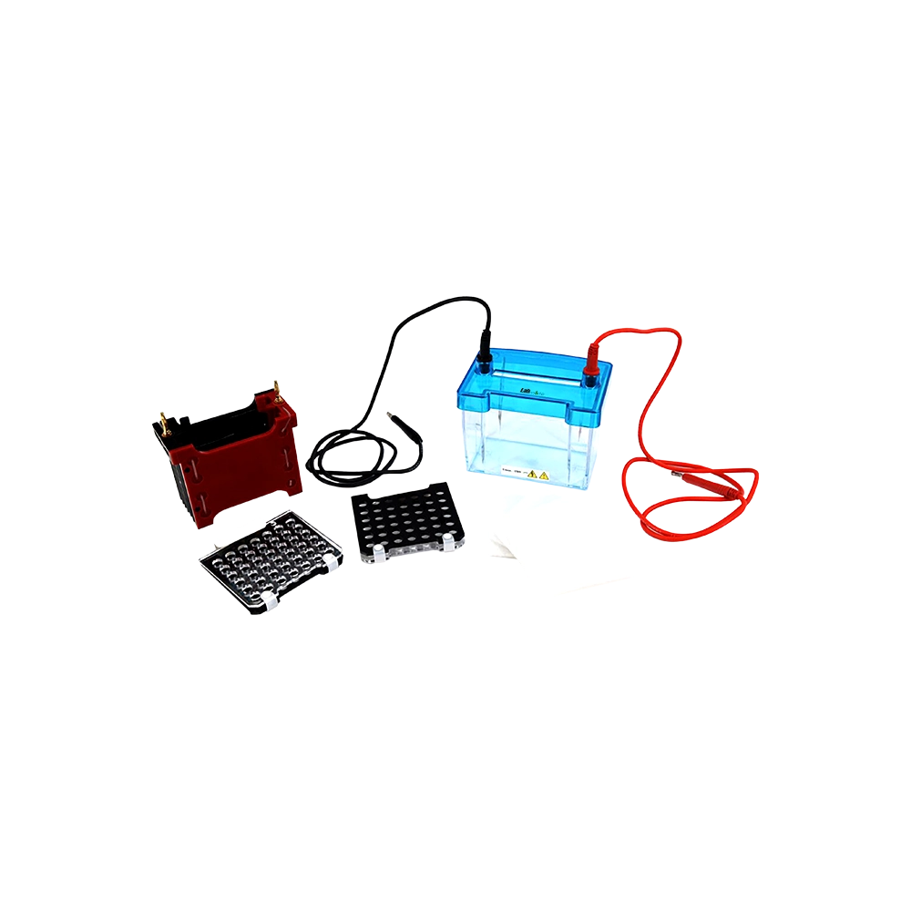 Trans-Blot Electrophoresis Cell LMES-C202