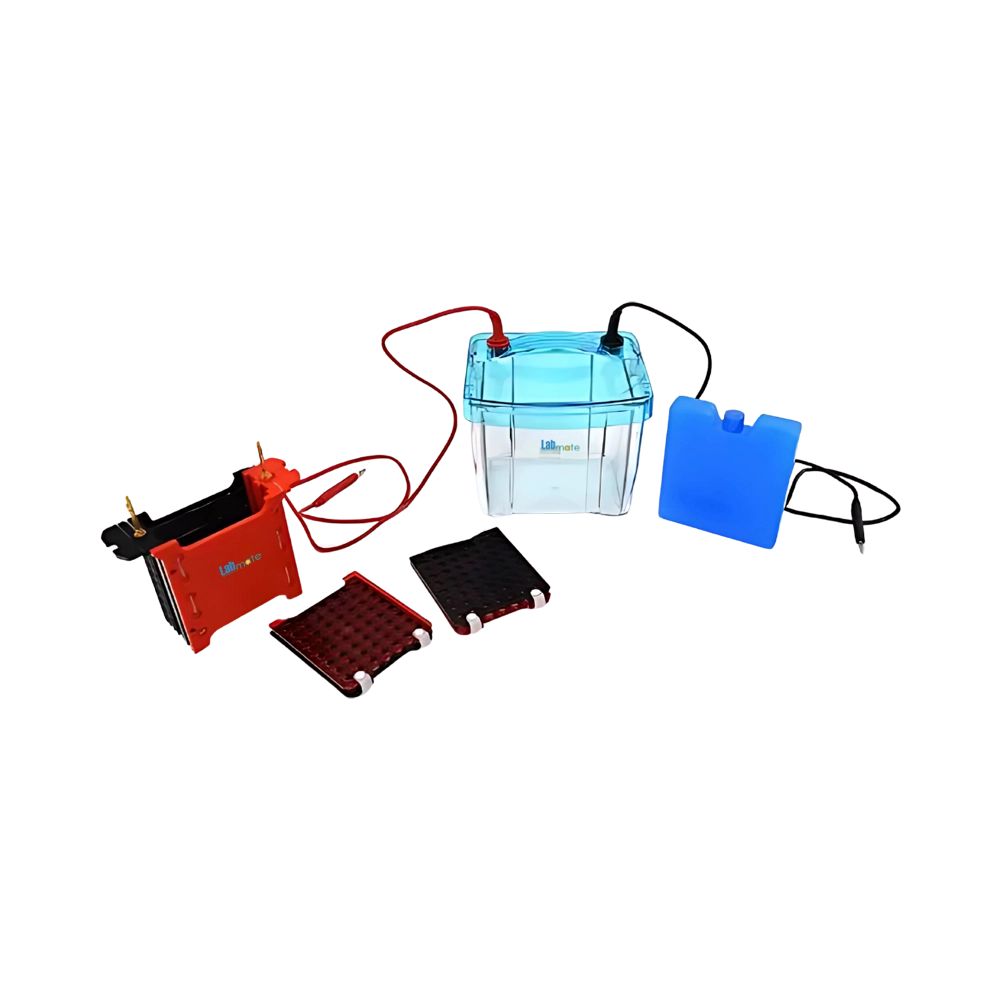 Trans-Blotting Electrophoresis Cell LMES-C203