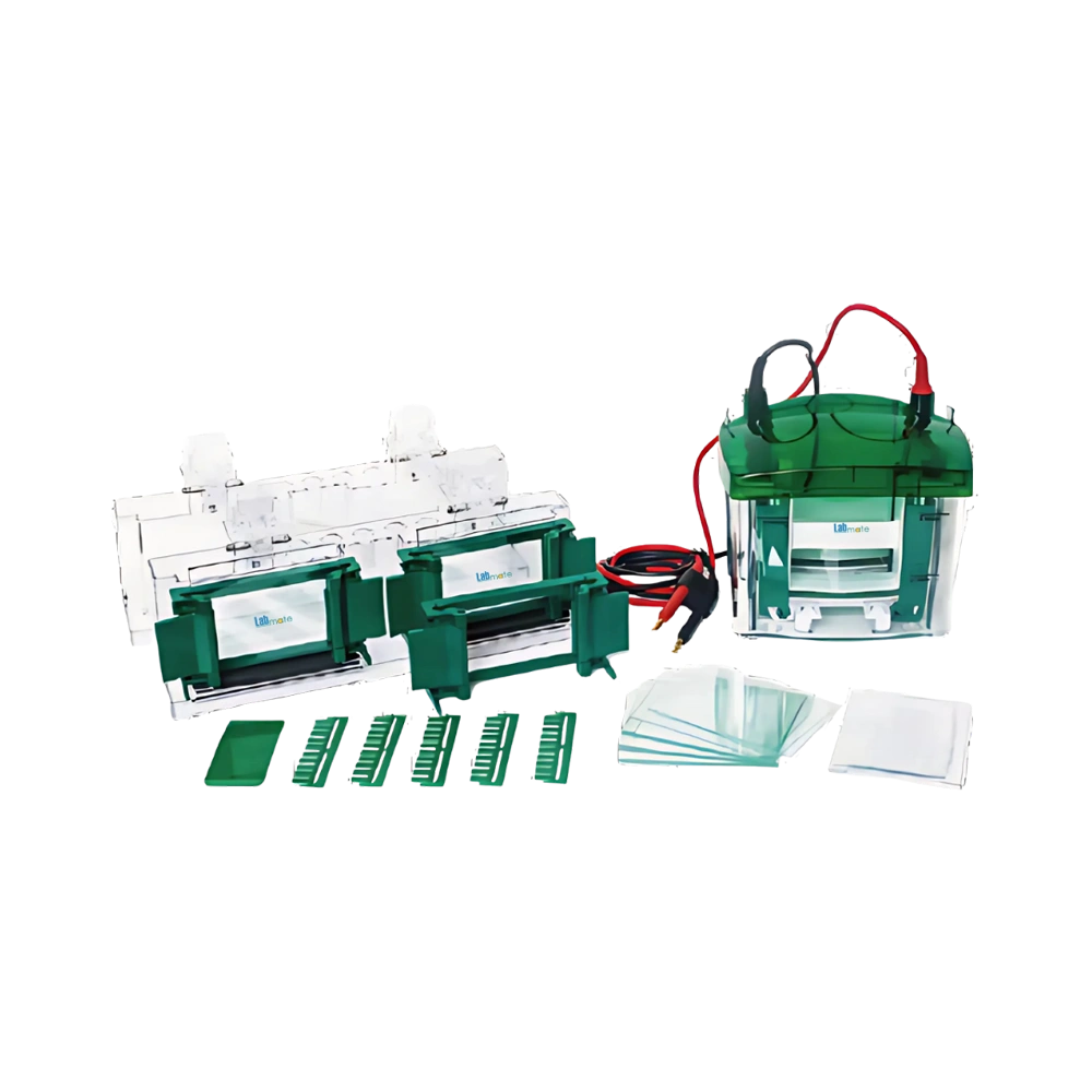 Vertical Electrophoresis System LMES-D101