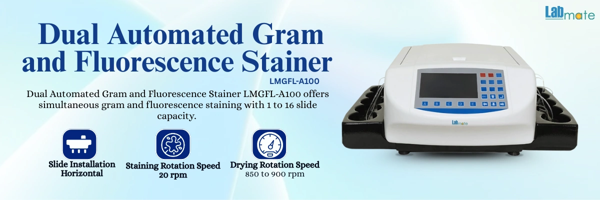 Dual Automated Gram and Fluorescence Stainer with indicator light