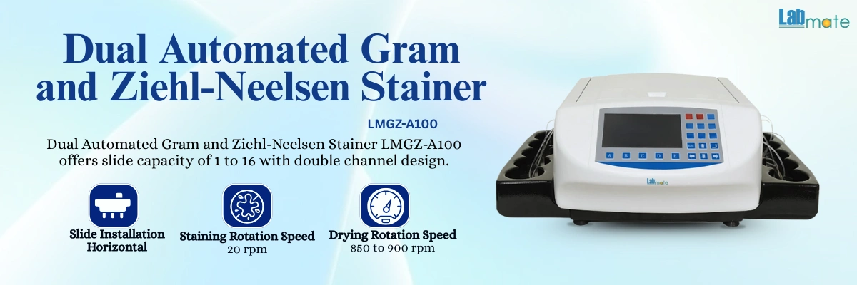 Gram and Ziehl-Neelsen Stainer with electromagnetic lock