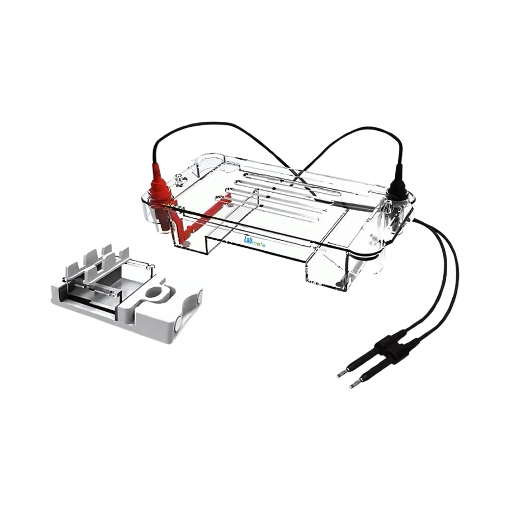 Horizontal Gel Electrophoresis unit with gel casting stand