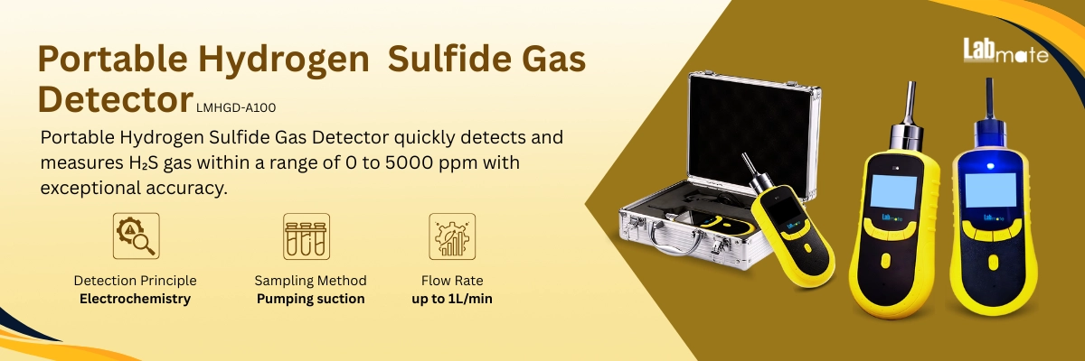Portable Hydrogen Sulfide Gas Detector LMHGD-A100 Banner
