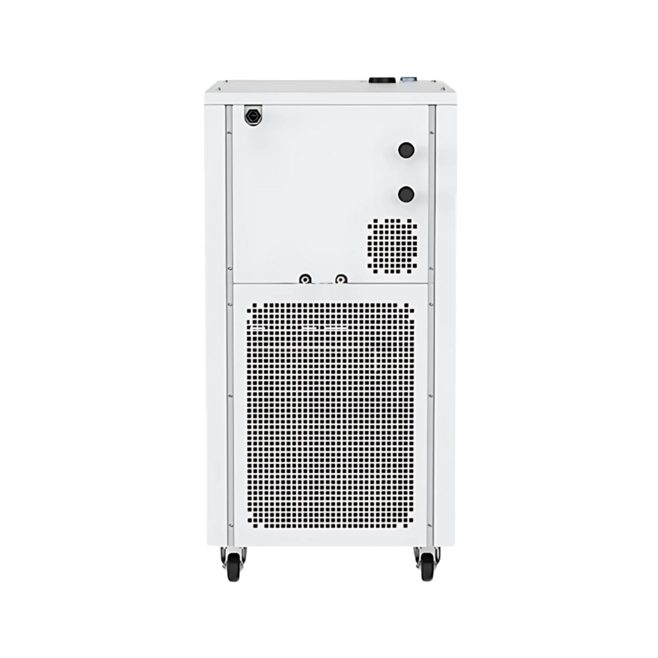 Refrigerated and Heating Circulator LMRH-B110