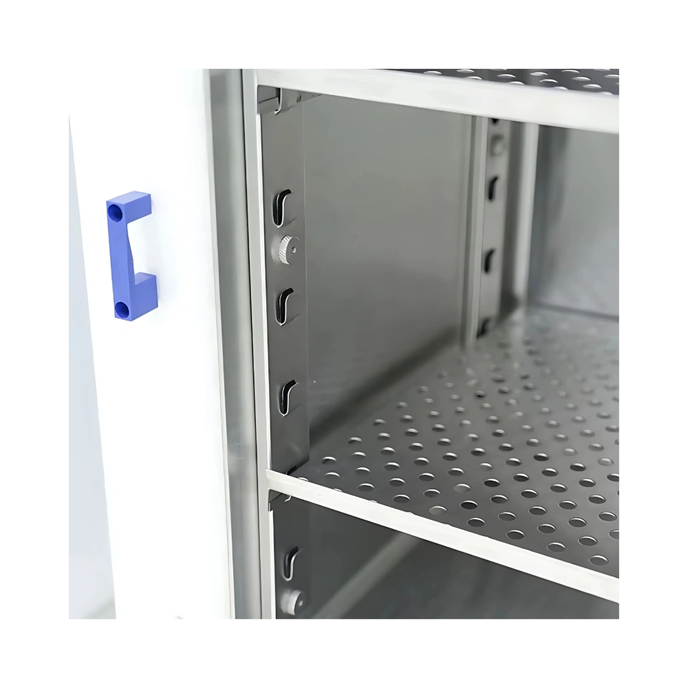 Stainless steel interior of 80 L Water-jacketed CO₂ Incubator with dual adjustable shelves